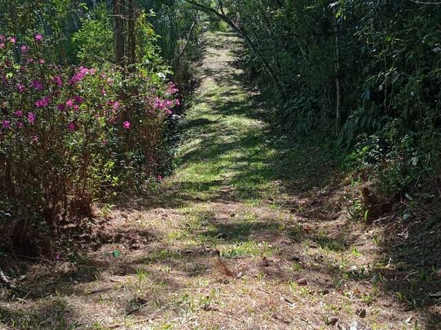 #15 - Chácara para Venda em Embu-Guaçu - SP - 1